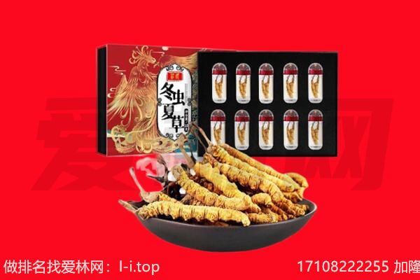 徐州市贾汪回收虫草.jpg
